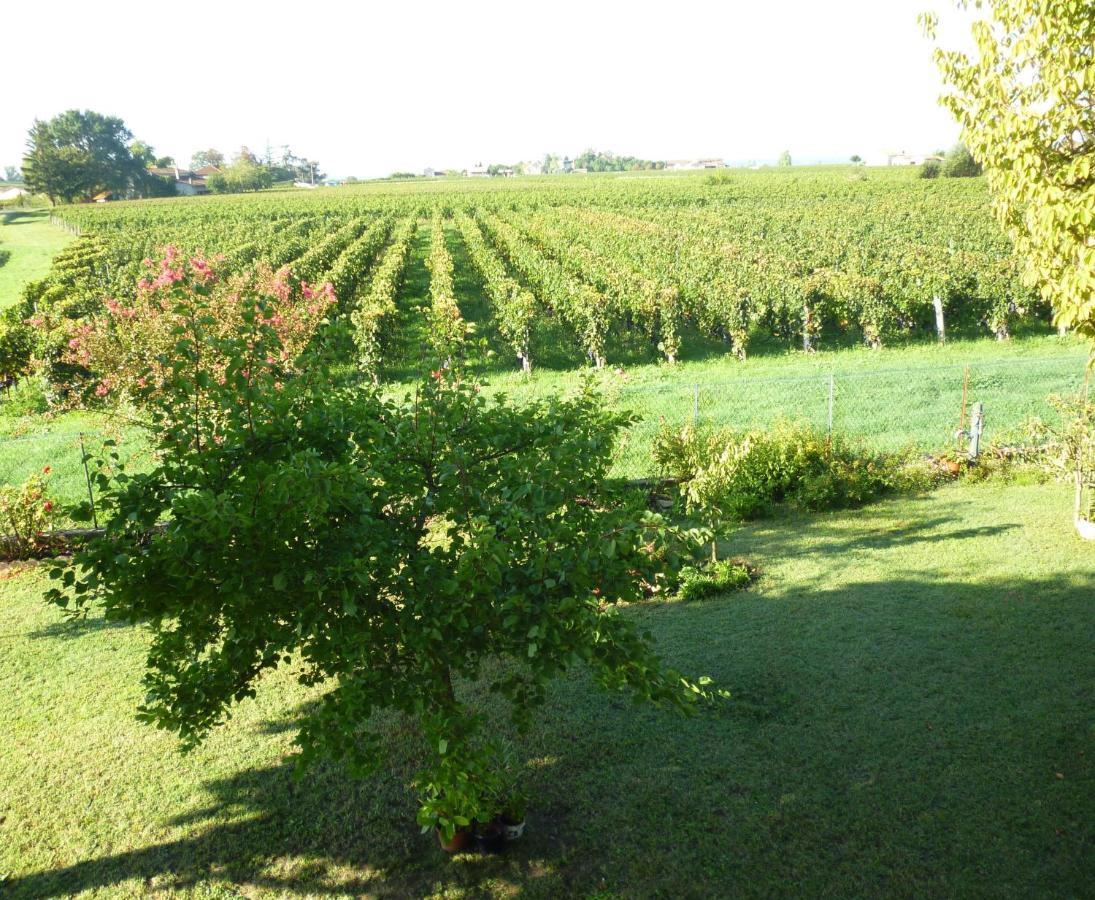 Le Clos Des Rosiers Saint-Émilion Zewnętrze zdjęcie